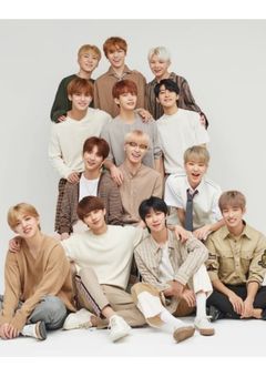 わけありSEVENTEENとマネージャーの私