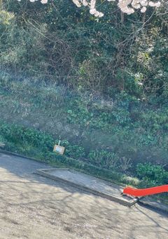 浮気されたんで幼なじみの学校でバレーします