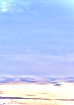 雄英高校落ちこぼれ特別警察科