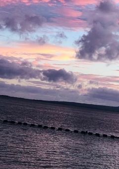 高専の愛され者いじめっ子な件について。