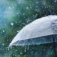 雨さんのアイコン画像