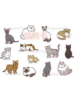 猫男子