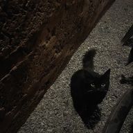 🌀さんのアイコン画像