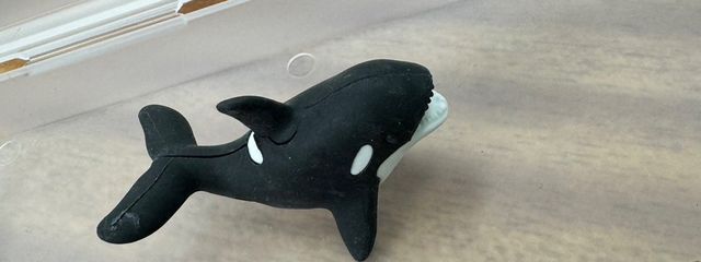雑食さんの壁紙画像