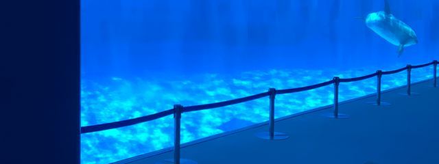 るかさんの壁紙画像