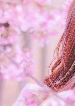 薄紅の恋 ～７年越しのトライアングル・ラブ～