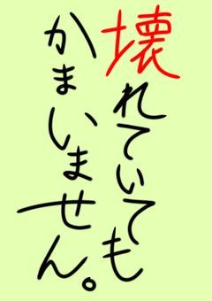 壊れていてもかまいません