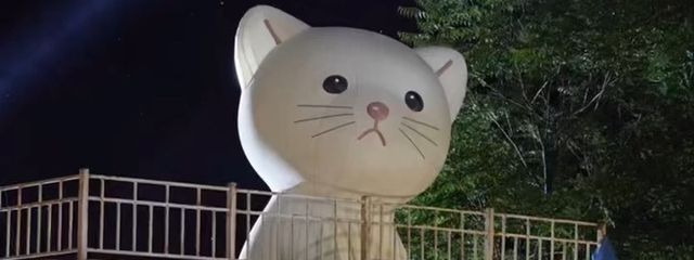 瞳さんの壁紙画像