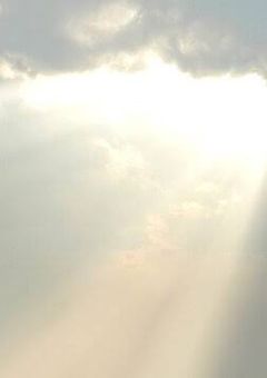 歩道橋での遭遇