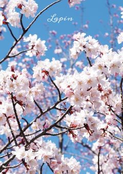 みんなに知っててほしい著作権の話。