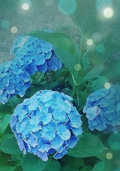 雨 が 降 っ た 日