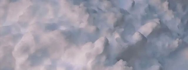 にゃむにゃむにーさんの壁紙画像