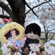 にゃむにゃむにーさんのアイコン画像