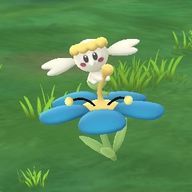 みいさんのアイコン画像