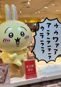 琥愛ちゃん専用部屋✨️