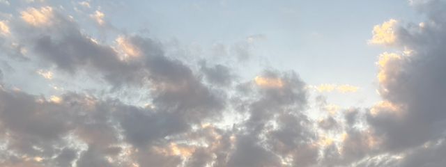 Sora#活休さんの壁紙画像