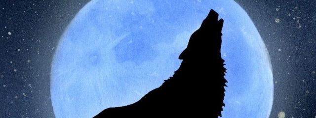 おぱいちさんの壁紙画像