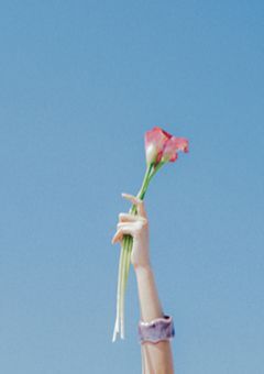 これが私のｱｵﾊﾙだ