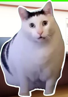 🐱専用部屋まとめ😼