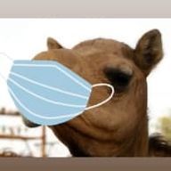 本人さんのアイコン画像