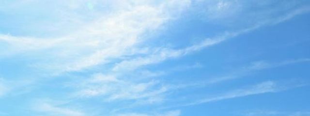 かりふらわぁさんの壁紙画像