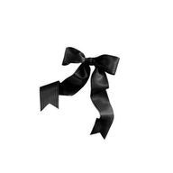 ぶらうにー。さんのアイコン画像