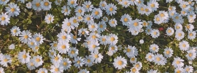 なつきさんの壁紙画像