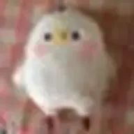 今日もゆかいなぽてちょさんのアイコン画像