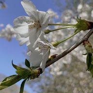 Ruka☆さんのアイコン画像