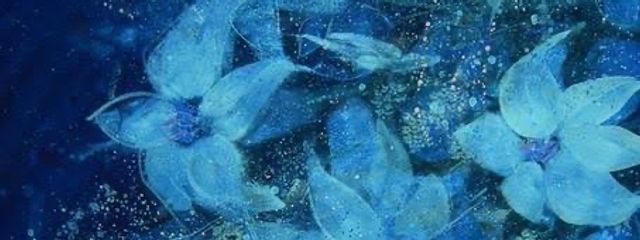 あめだまさんの壁紙画像