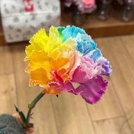 ハイパーキネティックポジションリバーサーさんのアイコン画像