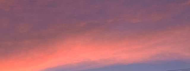 しおり📕🎧🎶さんの壁紙画像