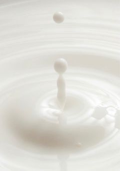 🥛はおやすみ中(2)
