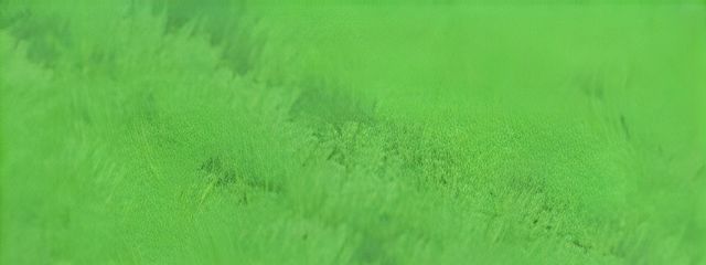 安美さんの壁紙画像