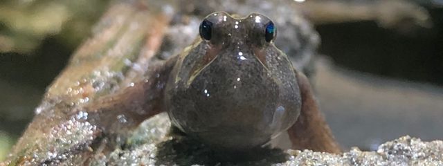 実彩@⛄️❤️🧡💙@じんクラ@なおやさん🦩✌🏻さんの壁紙画像