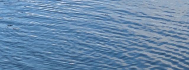 天音梨華さんの壁紙画像