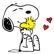 🌷🌷🌷さんのアイコン画像