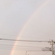 腐女子（夢✗）さんのアイコン画像