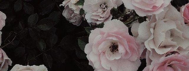 申桜~⋆✮さんの壁紙画像