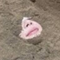 あけましておめでとうございますさんのアイコン画像