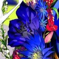 testaさんのアイコン画像