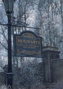 グルラ🪄🦁🐍🦡🦅