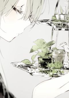 新たな仕事は護衛だそうです