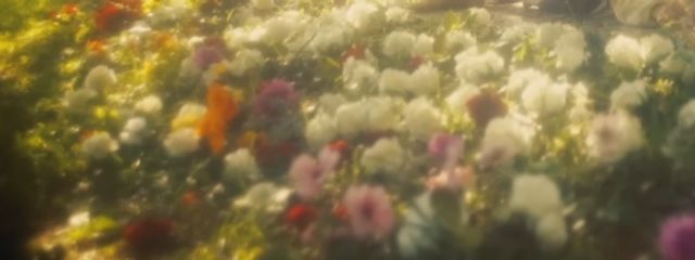 れ い .さんの壁紙画像