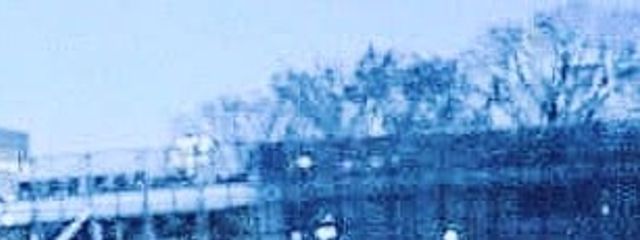 H i b i#ふぉろばさんの壁紙画像