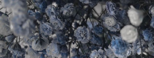 이하영✮*̣̩⋆̩イ・ハユンさんの壁紙画像