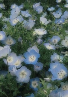   kyng  :  後輩離れができません