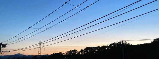 yellow pansyさんの壁紙画像