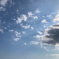 yellow pansyさんのアイコン画像