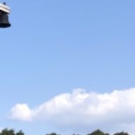 Sayuさんのアイコン画像